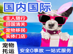 常德桃花源航空快运国际宠物托运 【国